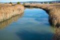 Delta Marshland View, Martinez California Royalty Free Stock Photo