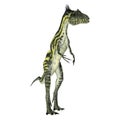 Deltadromeus Theropod Dinosaur