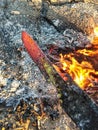 Heated red knife in fire, traditional knife making