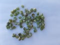 Demantoid green garnet rough pieces