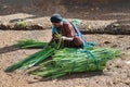 Ethiopian man sells sugar cane on the street Royalty Free Stock Photo