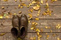 Demi-season shoes on autumn wooden vintage background