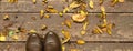 Demi-season shoes on autumn wooden vintage background