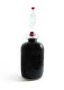 Demijohn with red wine