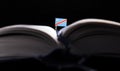 Democratic Republic of the Congo flag in the middle of the book.
