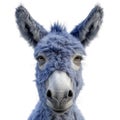 Democratts blue donkey isolated on white transparent, USA presidential election political party mascot