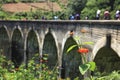 Demodara Nine Arch Bridge