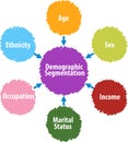 Demographic segmentation business diagram illustration