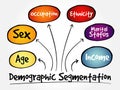 Demographic segmentation mind map