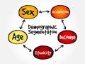 Demographic segmentation mind map