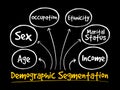 Demographic segmentation mind map