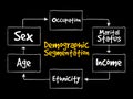 Demographic segmentation mind map