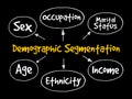 Demographic segmentation mind map