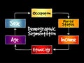 Demographic segmentation mind map flowchart