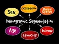 Demographic segmentation mind map flowchart
