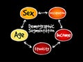 Demographic segmentation mind map flowchart