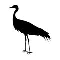 Demoiselle Crane Flat Design Vector Illustration