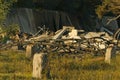 Demolished Building