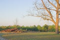 Demolished home on farm Royalty Free Stock Photo