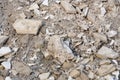 Demolition concrete Royalty Free Stock Photo