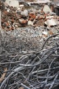 Demolition rubble with bricks and concrete, and tangled rebar in foreground Royalty Free Stock Photo