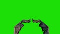 Demon Devil Wings Fast Green Screen Front 3D Renderings Animations