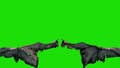 Demon Devil Wings Green Screen Front 3D Renderings Animations