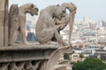 Demon, Dog and Heron Gargoyles of Notre Dame