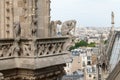 Demon, Dog, Heron and grotesque Gargoyles of Notre Dame Royalty Free Stock Photo