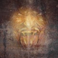 Demon Face Royalty Free Stock Photo