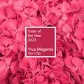 Demonstrating color of 2023 year. Viva Magenta. Magenta Hydrangea flowers background with text color of the year 2023