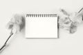 Opened blank notepad Royalty Free Stock Photo