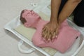 Demonstration of artificial respiration using a dummy, medical concept, emergency rescue training. Royalty Free Stock Photo