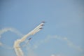 Demonstration perfomance on Poznan Air Show