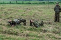 Demonstration performance of a military unit Vityaz during the celebration of Day of airborne troops of Russia in the