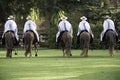 Demonstration of the Peruvian Paso horse mounted by his chalan