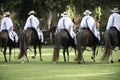 Demonstration of the Peruvian Paso horse mounted by his chalan