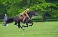 Demonstration of the sport of Tent Pegging at full gallop by a member of the Punjab Lancers in World War One uniform Royalty Free Stock Photo