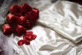 demure satin gloves beside a bridal dress