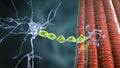 Demyelination of a neuron, the damage of the neuron myelin sheath seen in demyelinating diseases Royalty Free Stock Photo