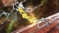 Demyelination of neuron, the damage of the neuron myelin sheath seen in demyelinating diseases Royalty Free Stock Photo