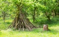 Den building in deciduous woodland