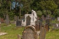 Den Helder, Netherlands, June 2022. Old dilapidated raves at the cemetery of Den Helder.