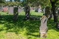 Den Helder, Netherlands, June 2022. Old dilapidated raves at the cemetery of Den Helder.