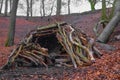 Den in the woods in England