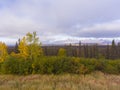 Denali and Alaska Range mountains, Alaska, USA Royalty Free Stock Photo