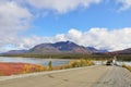 Denali Hwy and Susitna River, Alaska Royalty Free Stock Photo