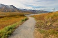 The Denali Mount Peak covered by snow at early morning at Denali National Park. Royalty Free Stock Photo