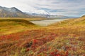 The Denali Mount Peak covered by snow at early morning at Denali National Park. Royalty Free Stock Photo