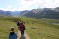 Denali National Park